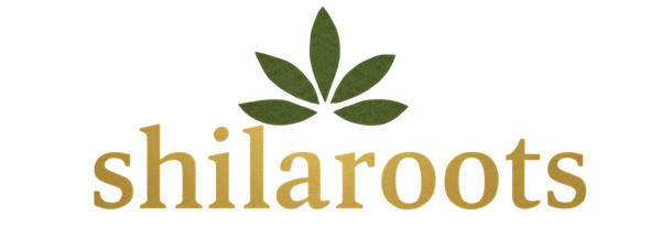 Logo of shilaroots with green leaves and gold text on a white background