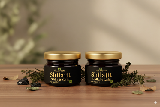 Pure Himalayan Gold Shilajit Resin 20g + 20g | Lab Tested | Natural Energy & Stamina Booster