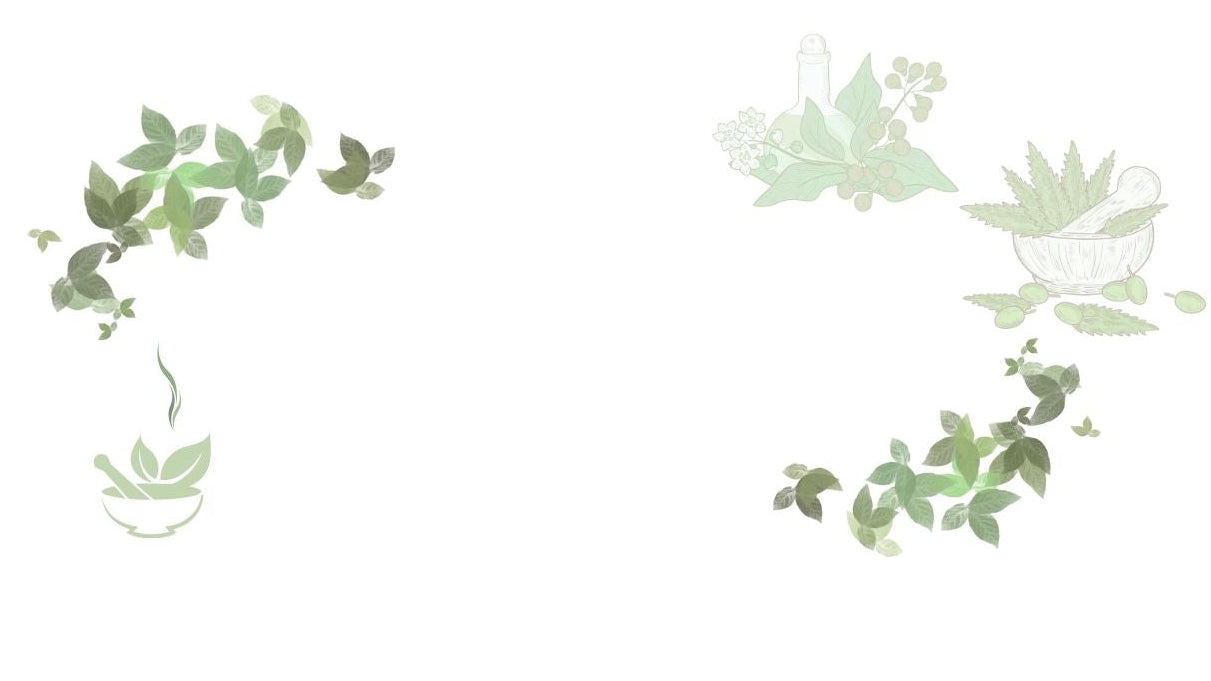 Decorative arrangement of green leaves on a white background